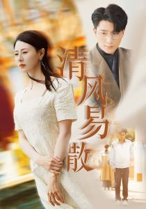 清风易散封面图