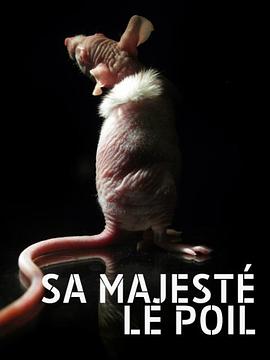 毛发的世界封面图