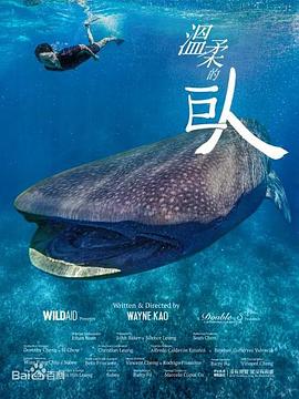 温柔的巨人封面图