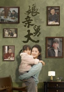 娘亲舅大封面图