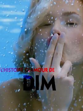 DIM丝袜的光辉岁月封面图