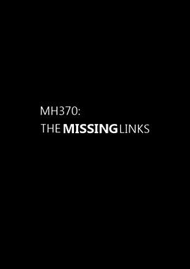 MH370：缺失的环节封面图