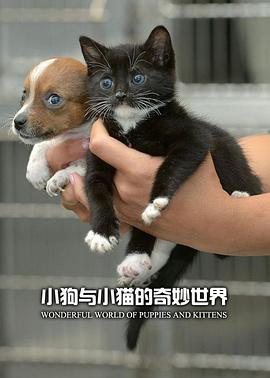小狗与小猫的奇妙世界封面图