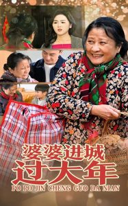 婆婆进城过大年封面图