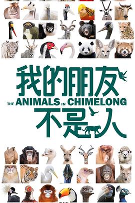 我的朋友不是人封面图