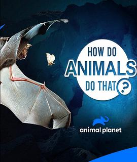 动物奇门功夫第二季封面图