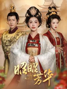 昭昭芳华封面图