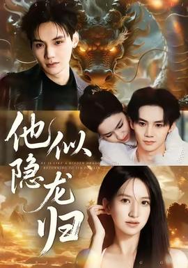 他似隐龙归封面图