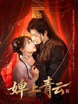 婢上青云封面图