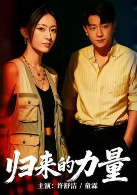 归来的力量封面图