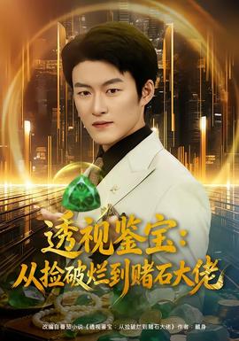 透视鉴宝：从捡破烂到赌石大佬封面图