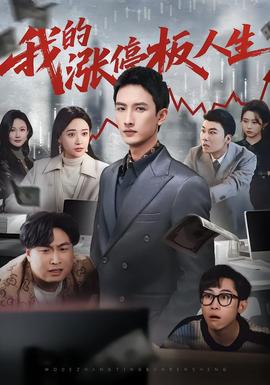 我的涨停板人生封面图