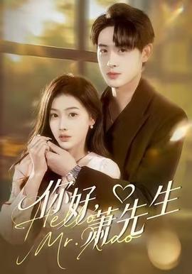 你好，萧先生封面图