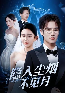 隐入尘烟不见月封面图