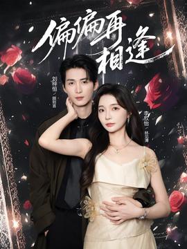 偏偏再相逢封面图