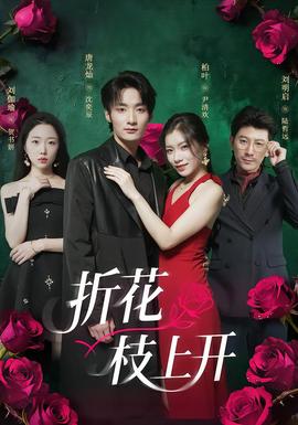 折花枝上开封面图