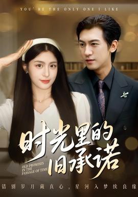 时光里的旧承诺封面图