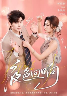 夜色回响封面图