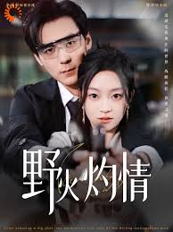 野火灼情封面图