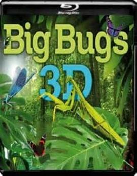 虫虫世界封面图