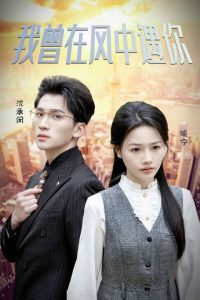 我曾在风中遇你封面图