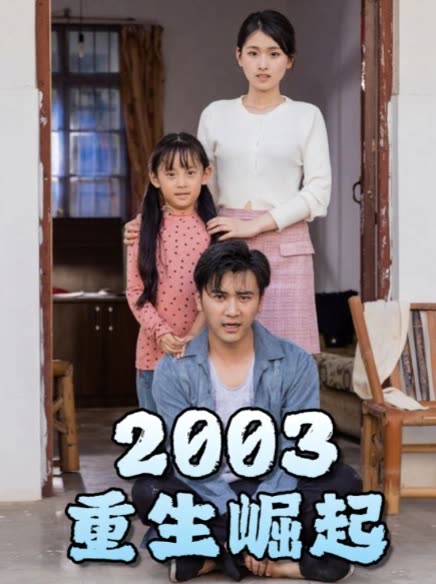 重生崛起2003封面图