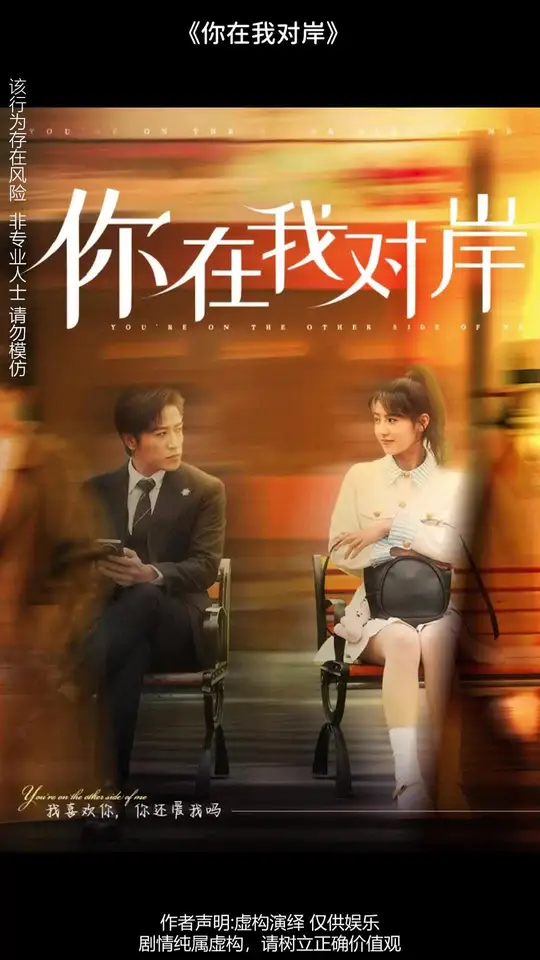 你在我对岸封面图
