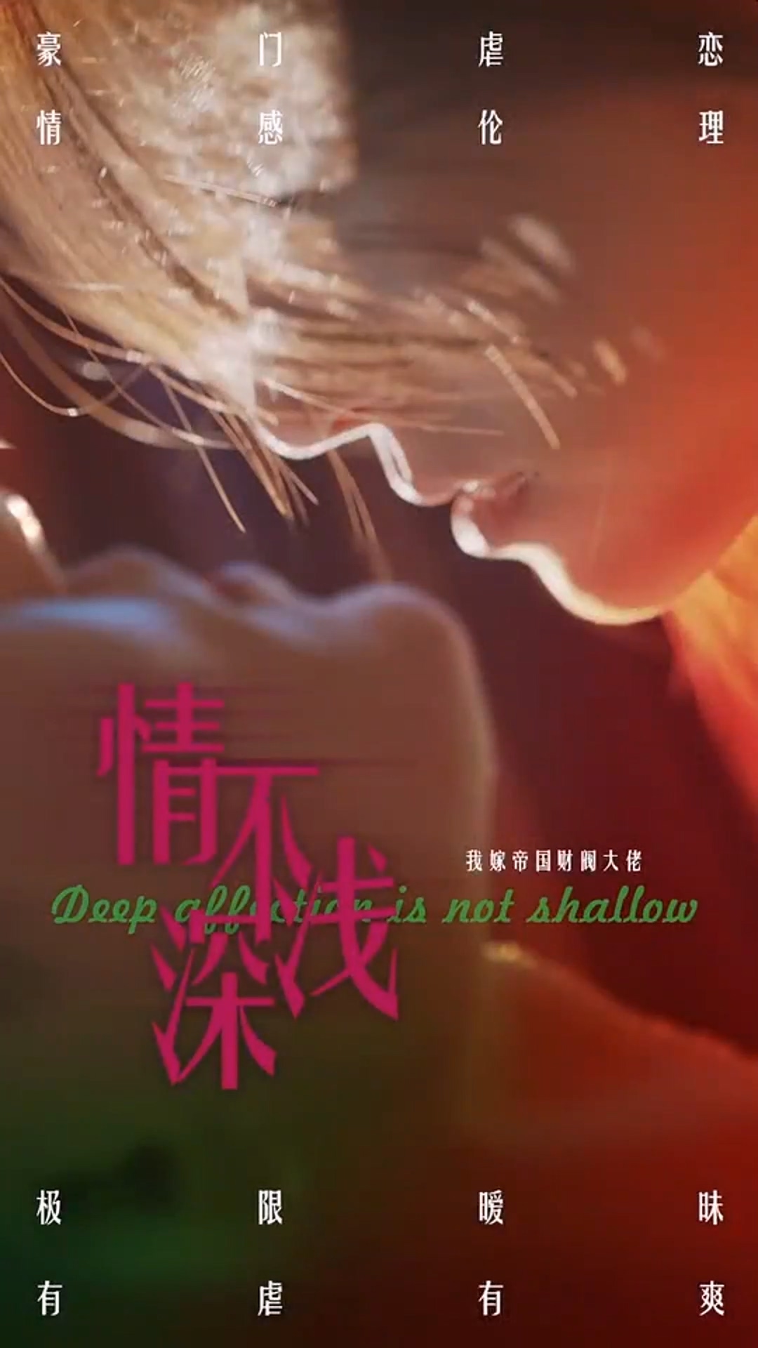 情深不浅封面图