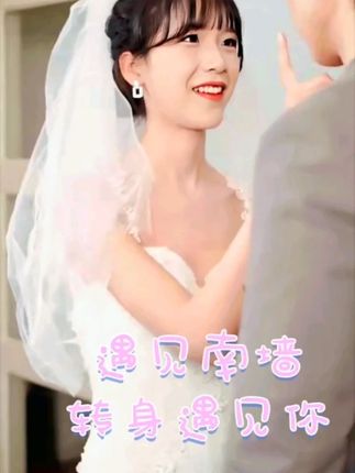 遇见南墙转身遇见你封面图