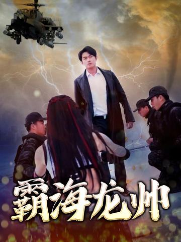 霸海龙帅封面图