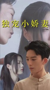 独宠小娇妻封面图