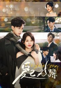 爱已无踪封面图