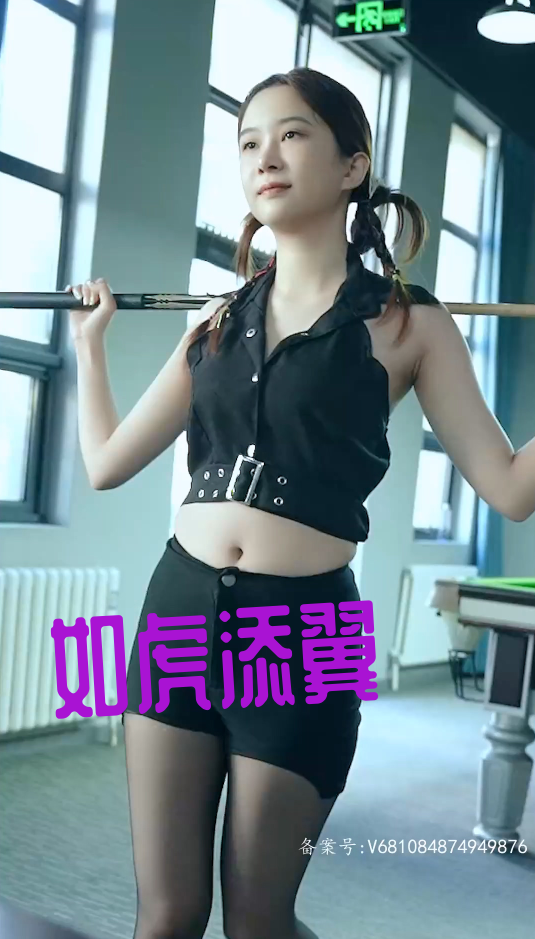 如虎添翼&紫色满塔&玉律金科封面图