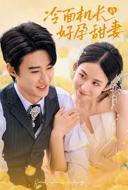 冷面机长的好孕甜妻封面图