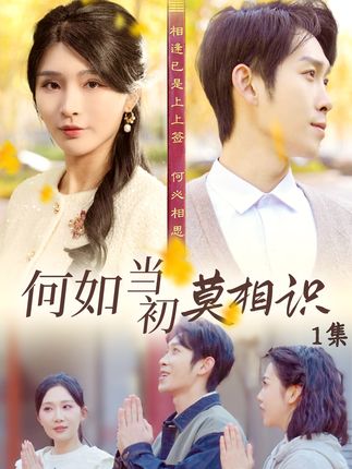 何如当初莫相识封面图