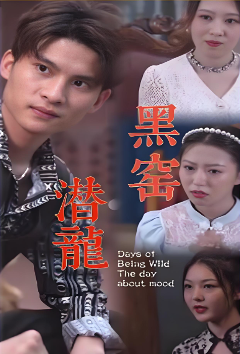 黑窑潜龙封面图