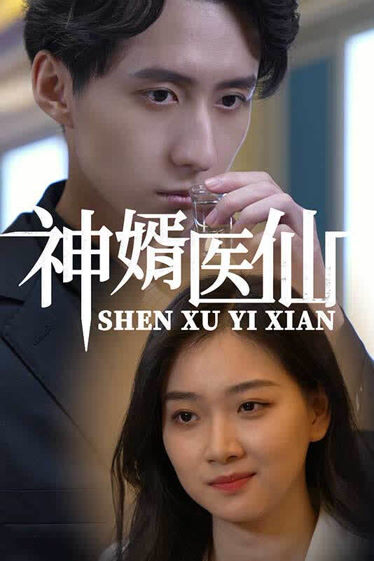 神婿医仙封面图