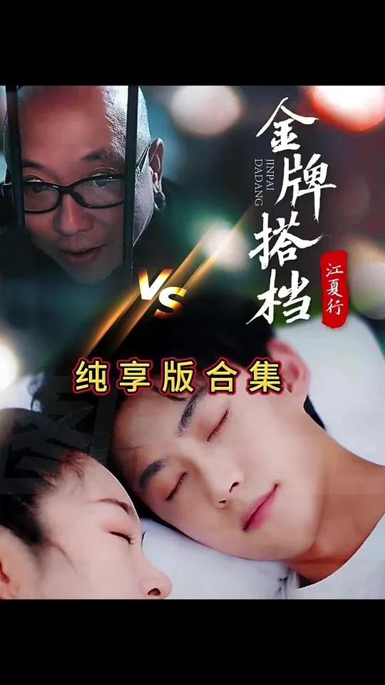 江夏行金牌搭档封面图