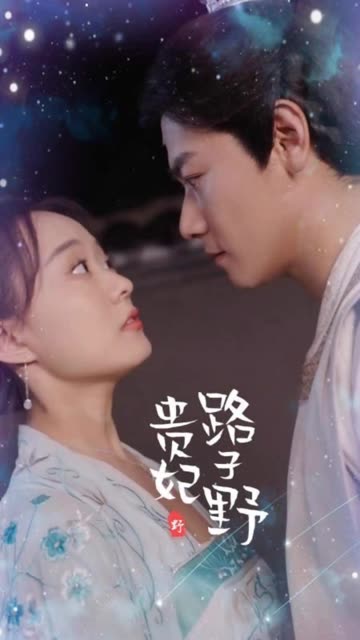 贵妃路子野封面图