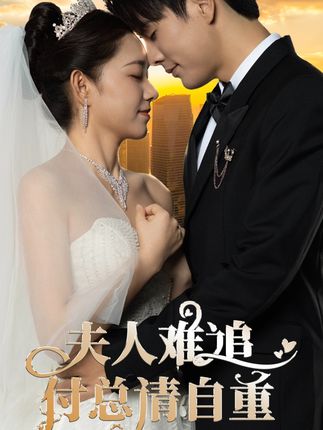 夫人难追，付总请自重封面图