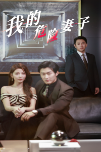 我的危险妻子短剧封面图