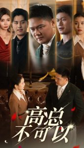 高总不可以封面图