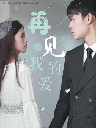 再见，我的爱封面图