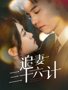 追妻三十六计封面图