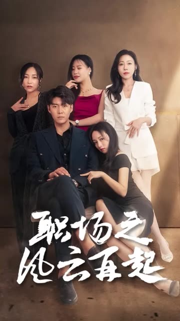 职场之风云再起封面图