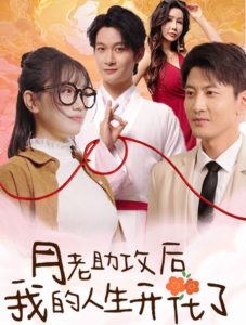 月老助攻后我的人生开花了封面图