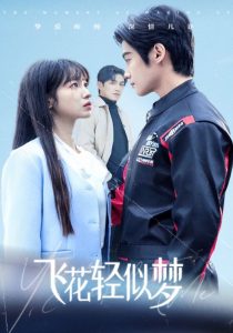 飞花轻似梦封面图