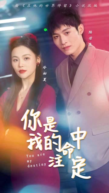 你是我的命中注定封面图