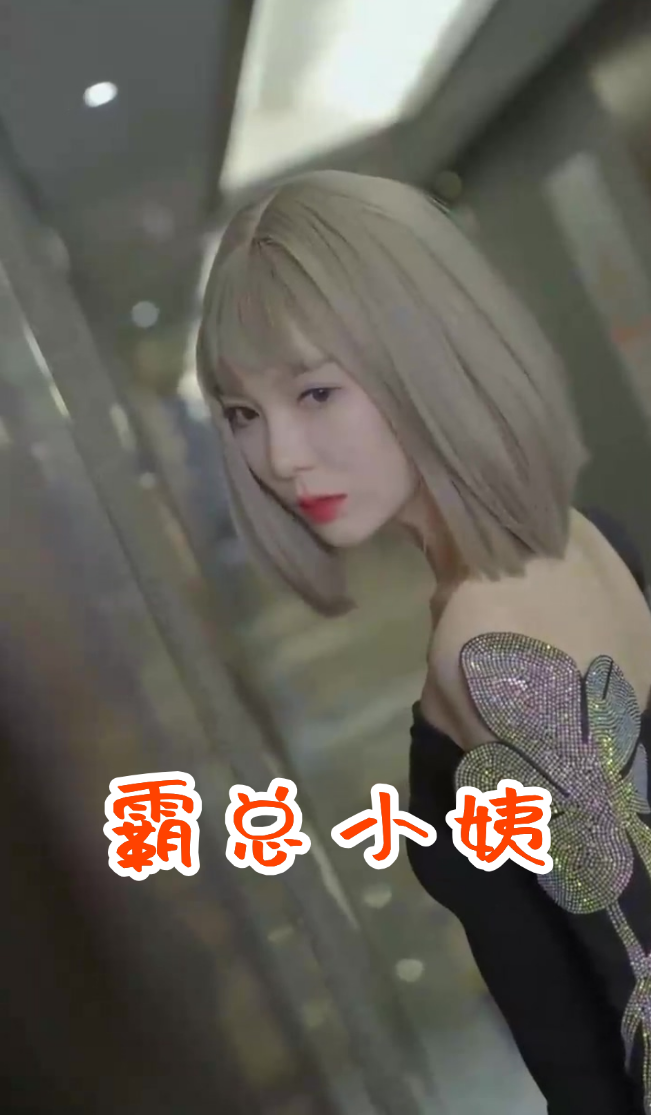 霸总小姨封面图