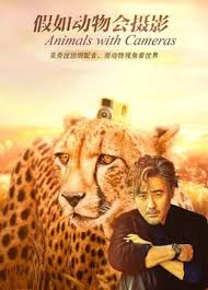 假如动物会摄影封面图